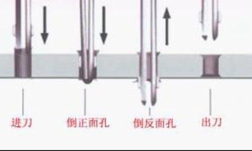 婴儿脚的意思网- 婴儿的脚出生的过程知识,分享婴儿脚丫穴位图片